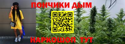 крисы Бузулук