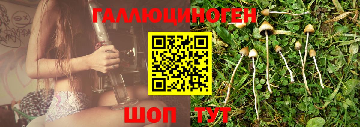 Галлюциногенные грибы Psilocybe Челябинск