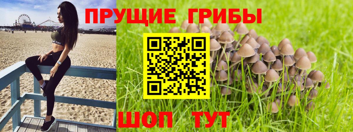 Псилоцибиновые грибы прущие грибы  купить наркоту  Челябинск  Вход с VPN 